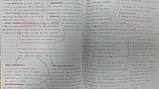 Geography 7