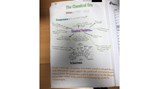 Nieve Stevenson Y8 Music Through Time - website