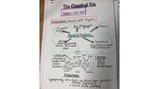 Olivia Brinton Y8 Music Through Time website